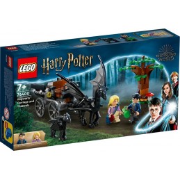 LEGO® Harry Potter™ 76400 -...