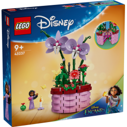 LEGO ǀ Disney Encanto 43237...