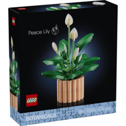 LEGO Botanique 11504 Les...