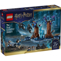 LEGO Harry Potter 76475 Harry Potter™ La Forêt interdite : Expecto Patronum