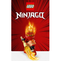 Ninjago®
